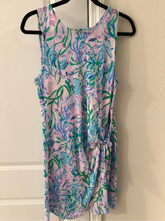 Lilly Pulitzer Dresses & Skirts - Lilly Pulitzer Bryson Dress size Large NWT